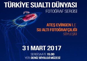 Trkiye Sualt Dnyas Fotoraf Sergisi