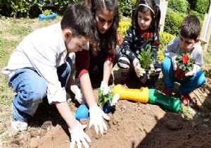 MNKLER KALDIRIM TAI BOYAYACAK