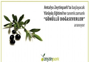 ZEYTNPARK A GNLL DOASEVERLER ARANIYOR